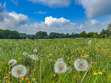 Londonderry - BBC Weather
