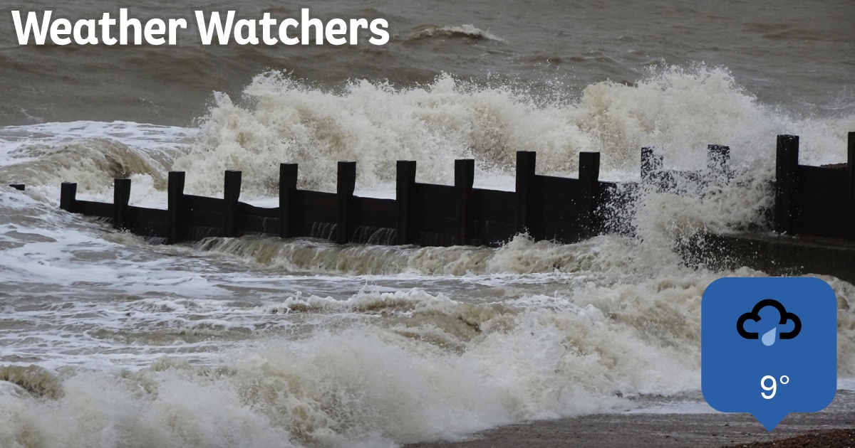 Report - BBC Weather Watchers