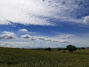 Ipswich - BBC Weather