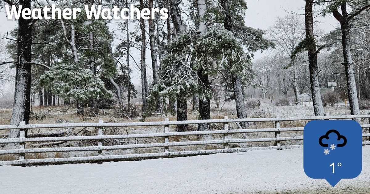 Report - BBC Weather Watchers