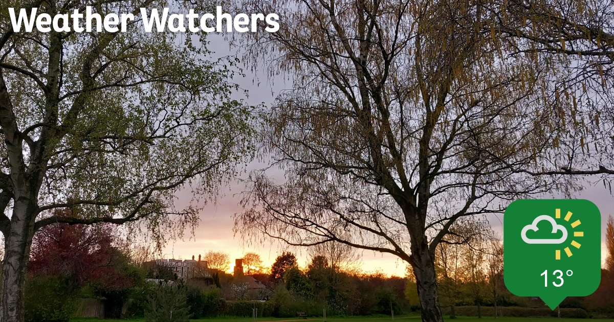 Report BBC Weather Watchers