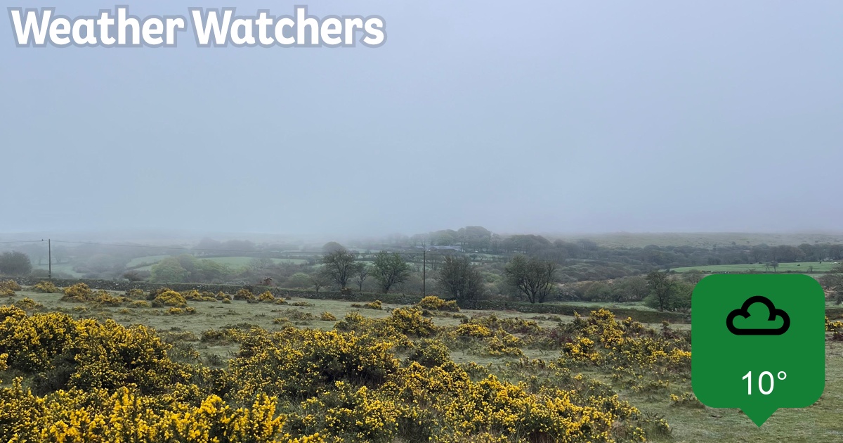 Report BBC Weather Watchers