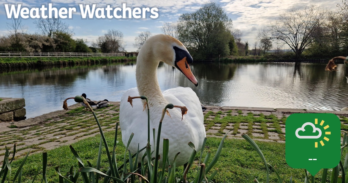 Report BBC Weather Watchers