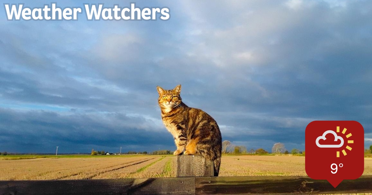 Report BBC Weather Watchers