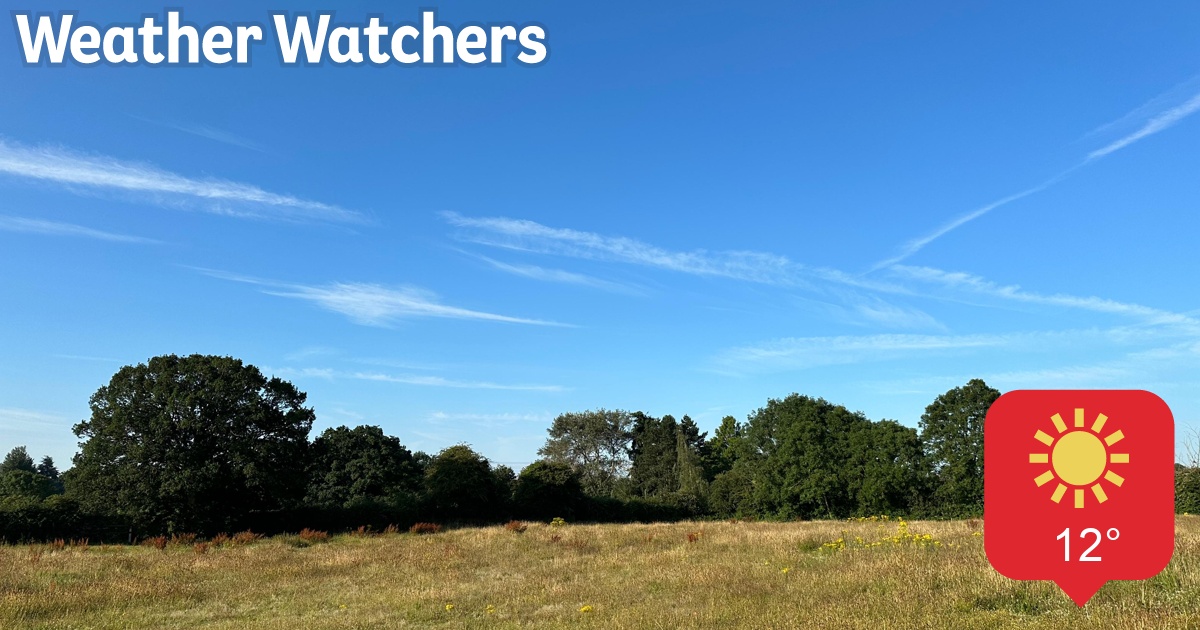 Report - BBC Weather Watchers