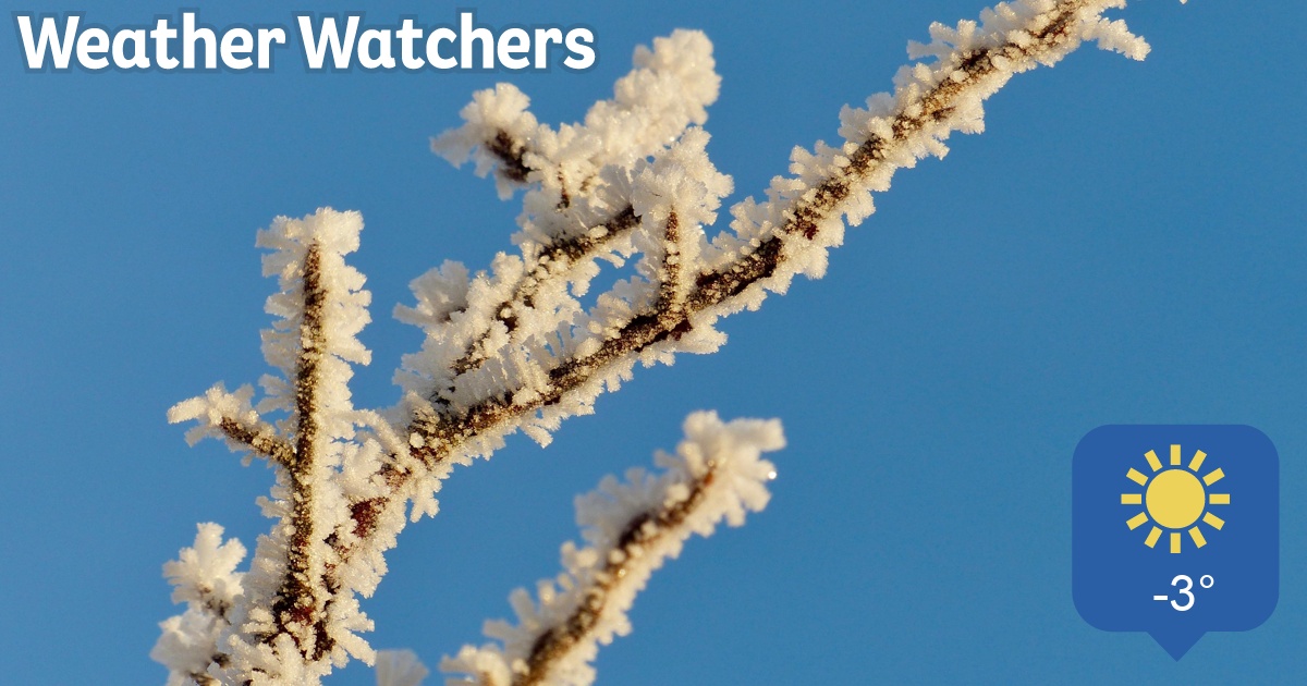 Report BBC Weather Watchers