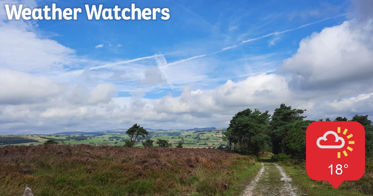 Report BBC Weather Watchers