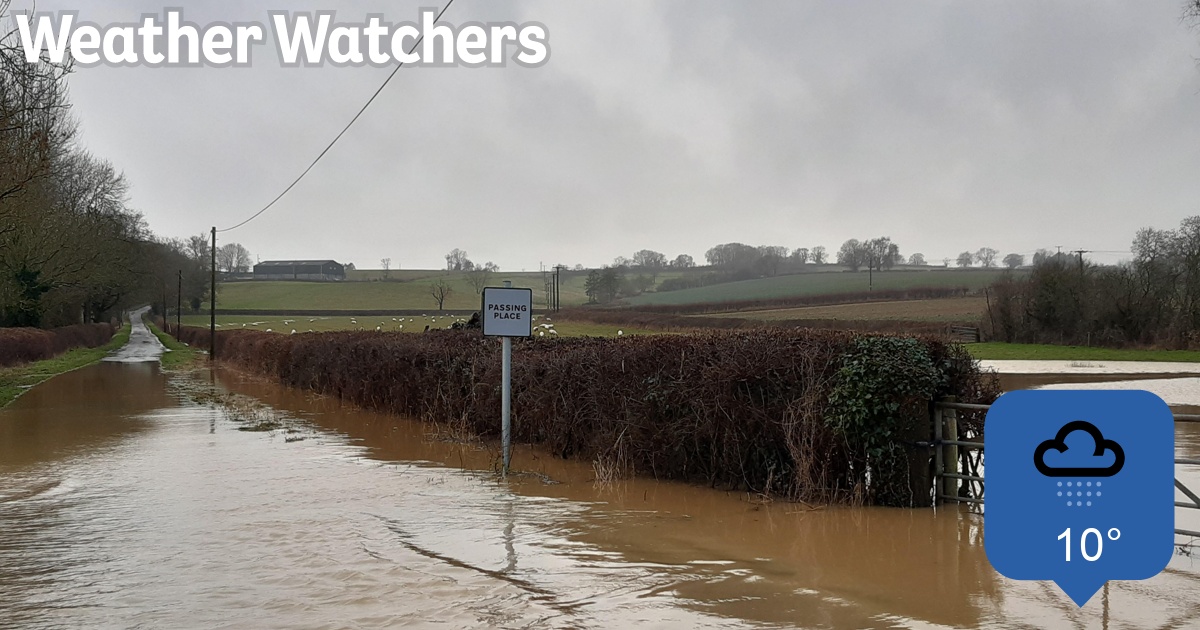 Report - BBC Weather Watchers