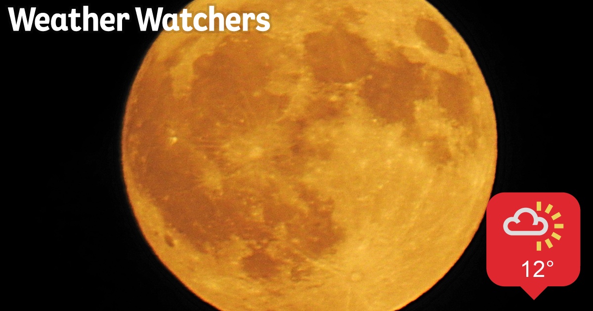 Report BBC Weather Watchers