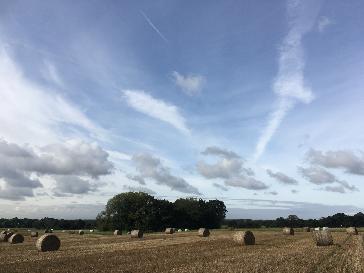 St Helens - BBC Weather