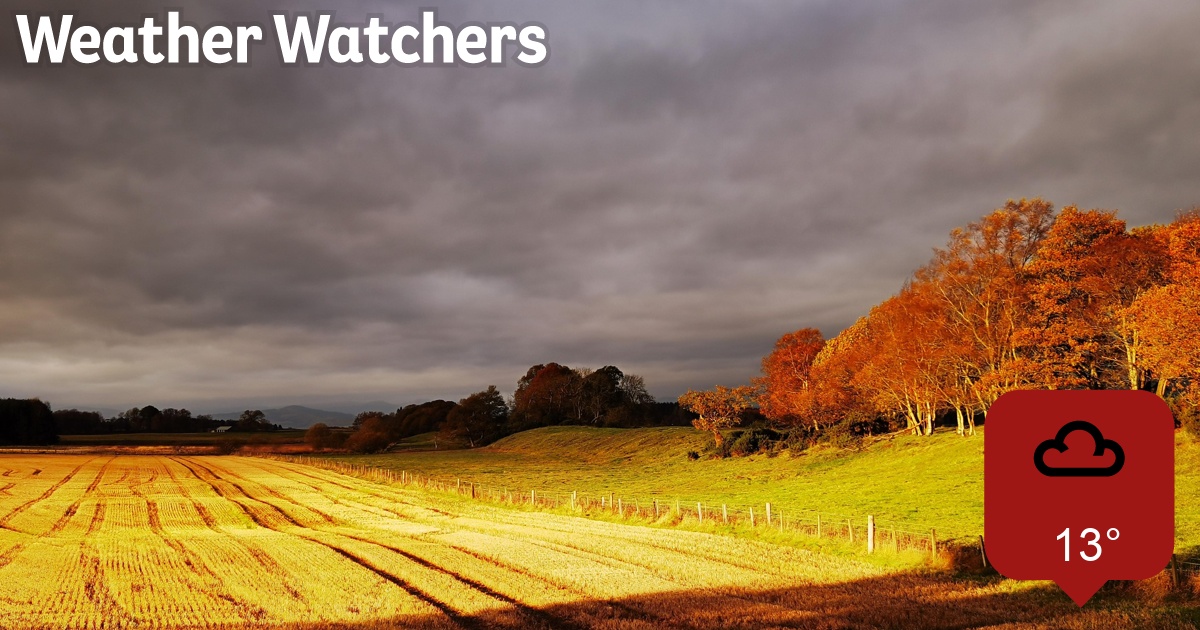 Report - BBC Weather Watchers