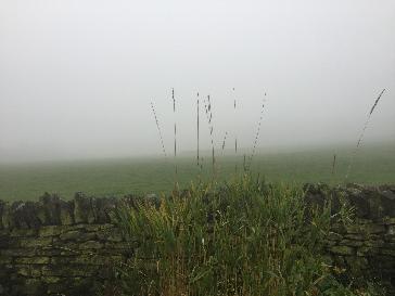 Sheffield - BBC Weather