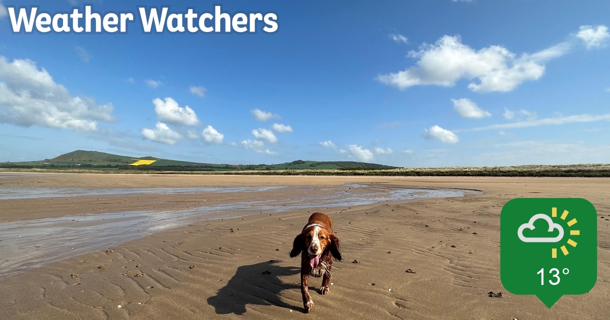 Report BBC Weather Watchers
