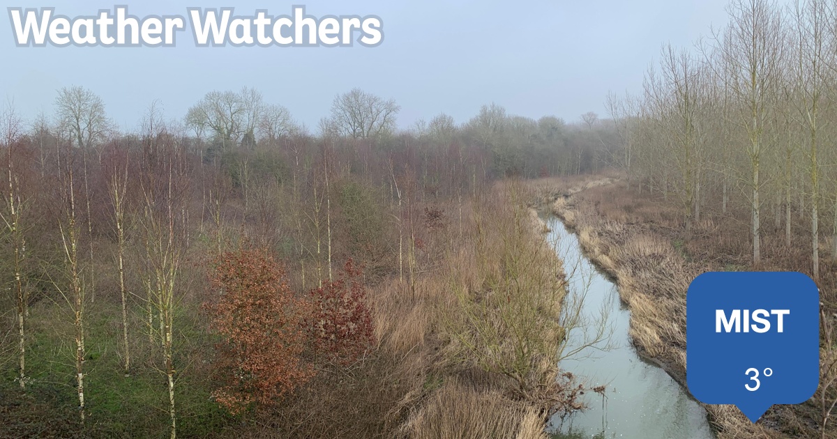 Report - BBC Weather Watchers