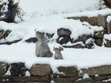 rochdale bbc weather rochdale bbc weather