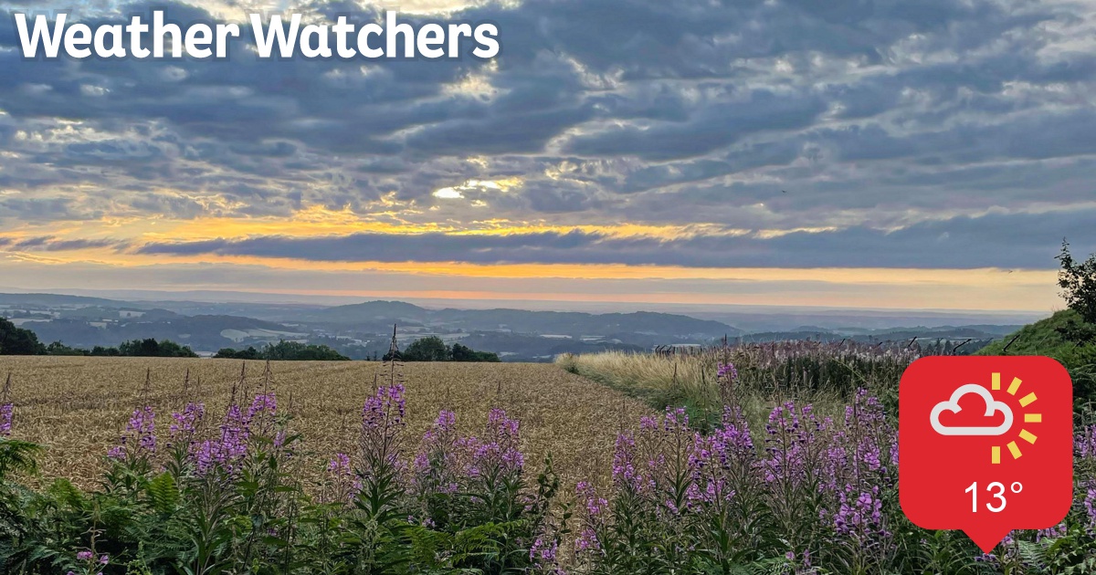 Report - BBC Weather Watchers