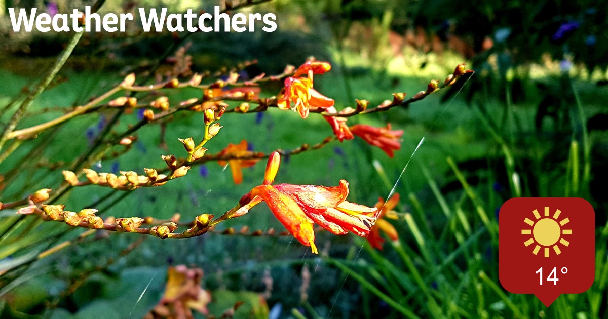 Report BBC Weather Watchers