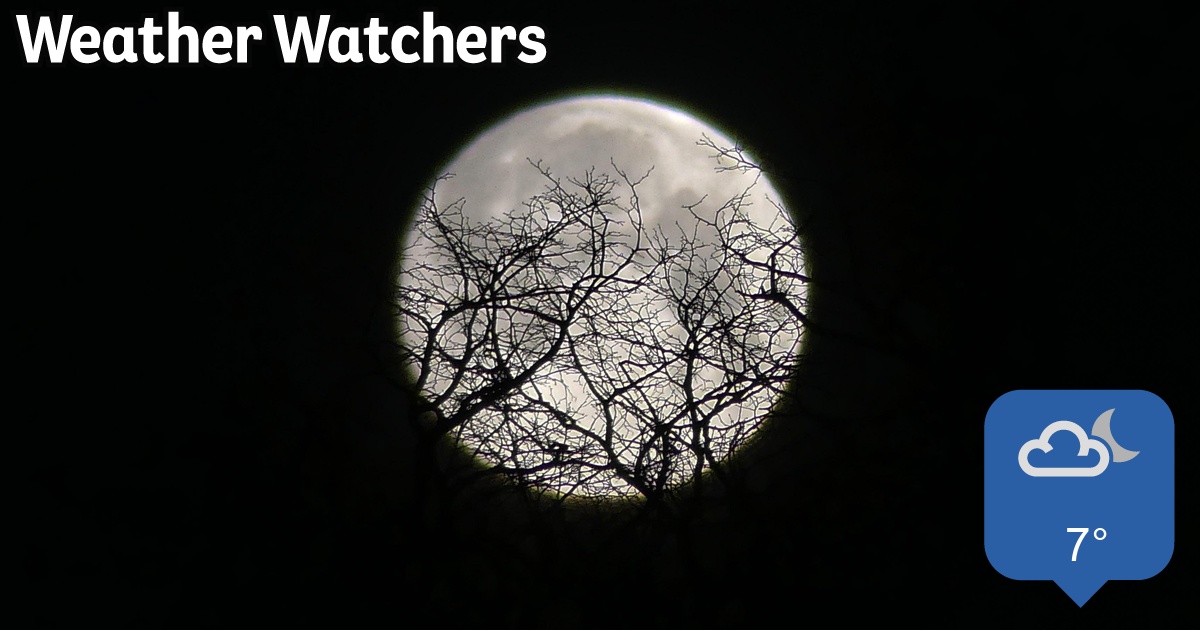 Report BBC Weather Watchers