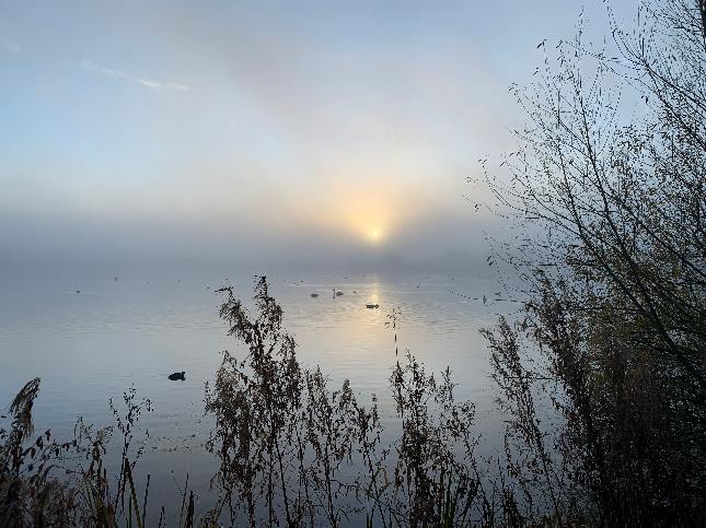 Report BBC Weather Watchers