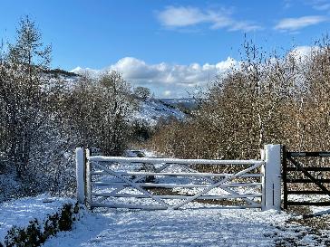 Wrexham - BBC Weather