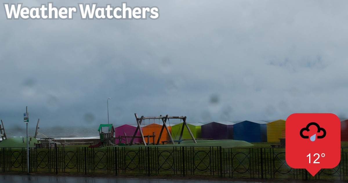 download www bbc co uk weather