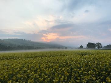 Kelso - BBC Weather