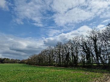 Beccles - BBC Weather