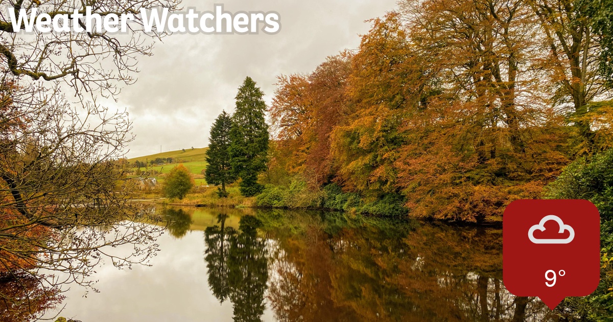 Report BBC Weather Watchers