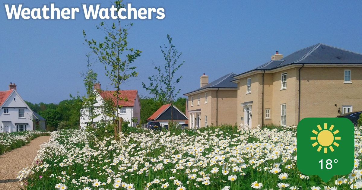 Report BBC Weather Watchers