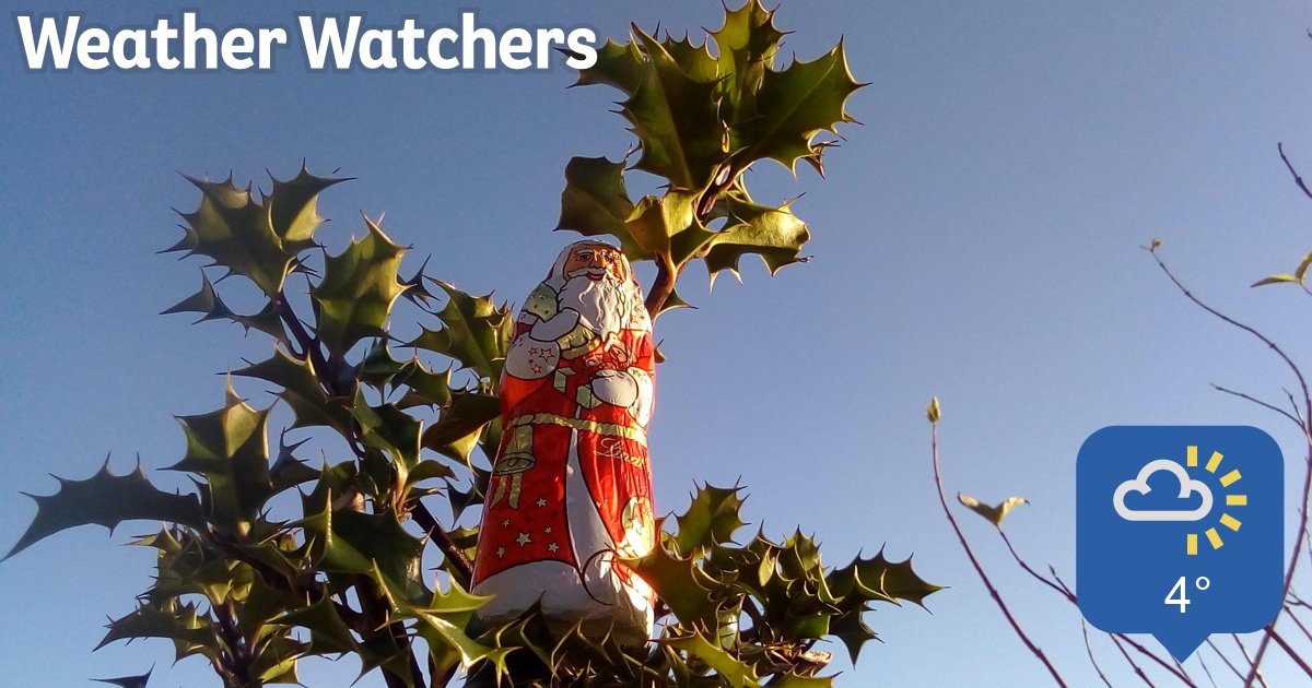weather watcher review