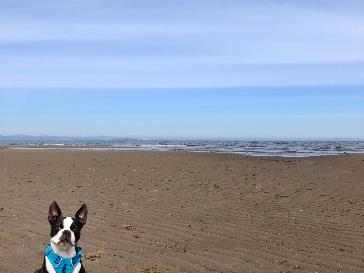 St Andrews - BBC Weather