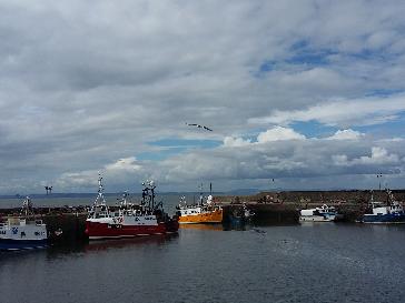 Kirkcaldy - BBC Weather