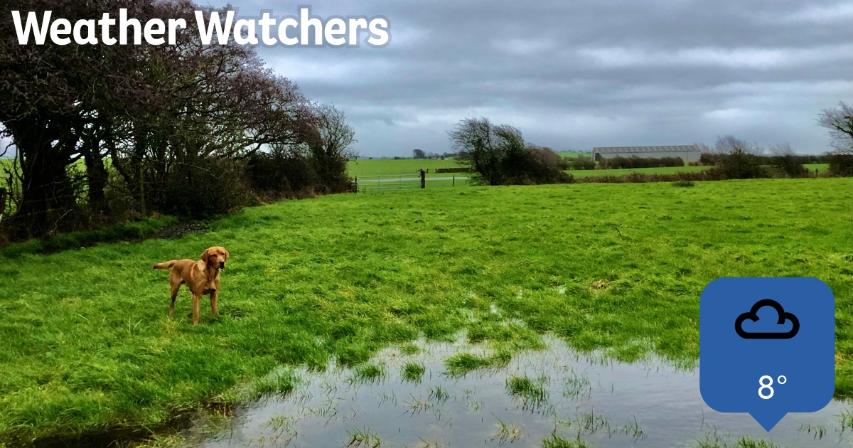 Report BBC Weather Watchers