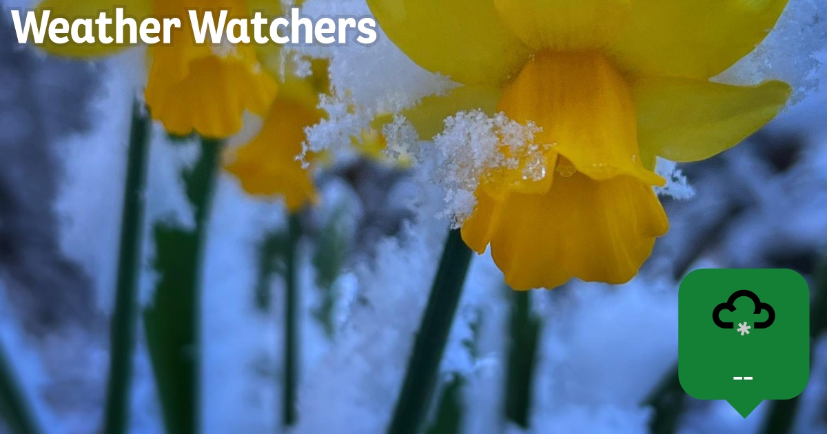 Report BBC Weather Watchers report-bbc-weather-watchers